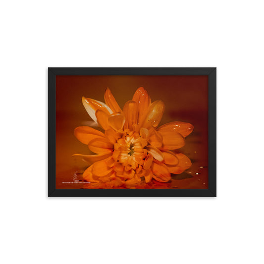 ORANGE | Framed photo paper poster