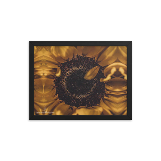 SUN FLOWER | Framed photo paper poster